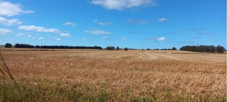 Vi skal passe bedre på vores natur
