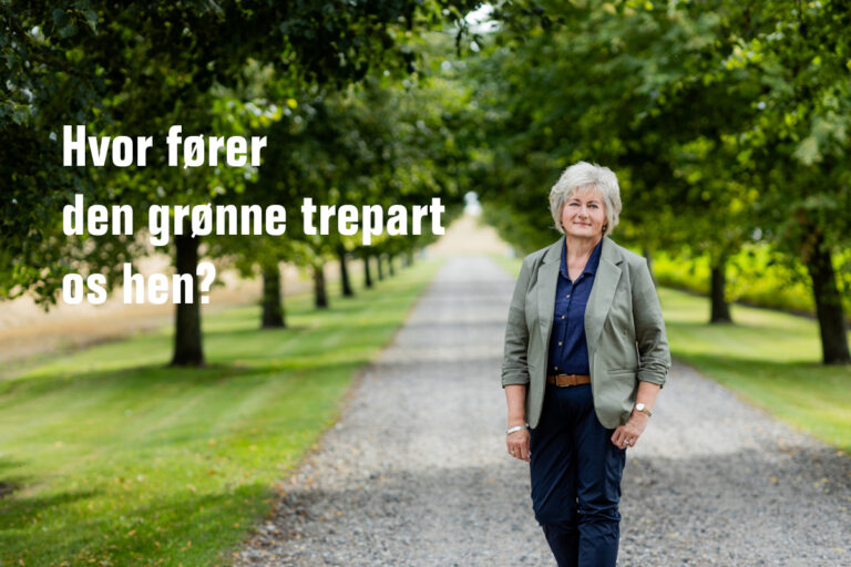 Debat: Hvor fører den grønne trepart os hen?